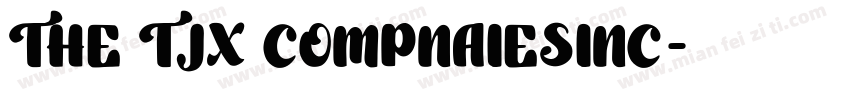 THE TJX COMPNAIESINC字体转换